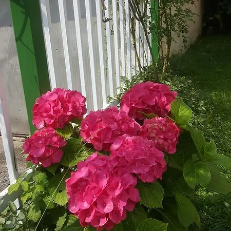 Holiday home Perfect Place Sarajevo
